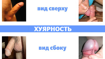 ���������� ������������� - �����