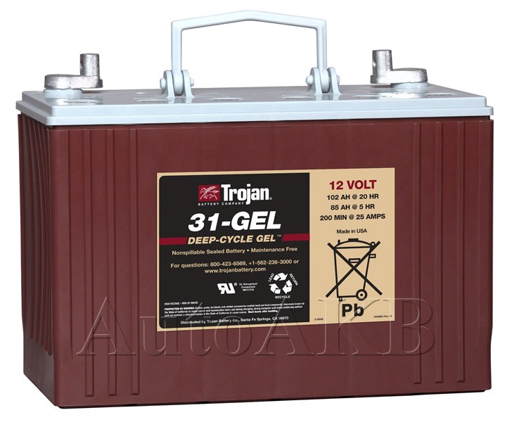 Аккумулятор тяговый Trojan 31-GEL 12V (гелевый) 102 Ач