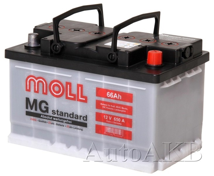 Аккумулятор автомобильный Moll MG Standard 6СТ-66 Ач обр. (низкий)