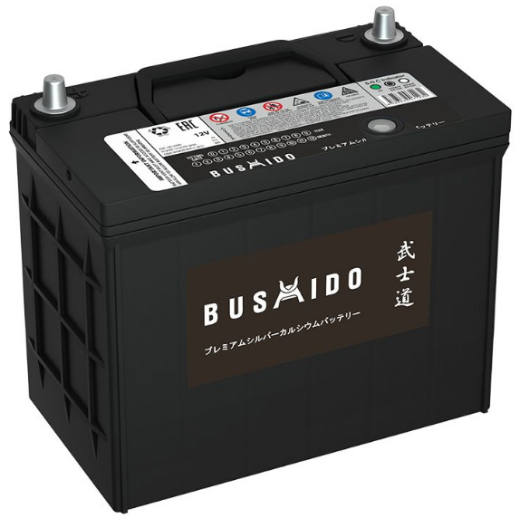 Аккумулятор автомобильный Bushido 70B24LS 6СТ-55 Ач обр.