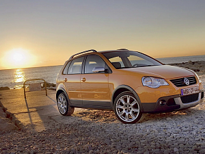 Аккумуляторы для Volkswagen Polo 9N1 Cross 2006-2009