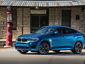 Аккумуляторы для BMW X6 M F86 2015-2019