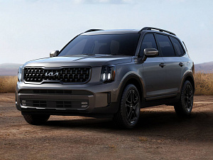 Аккумуляторы для Kia Telluride SUV I 2019-2024