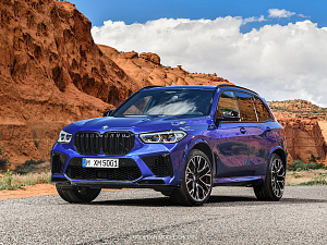 Аккумуляторы для BMW X5 M F95 2020-2024