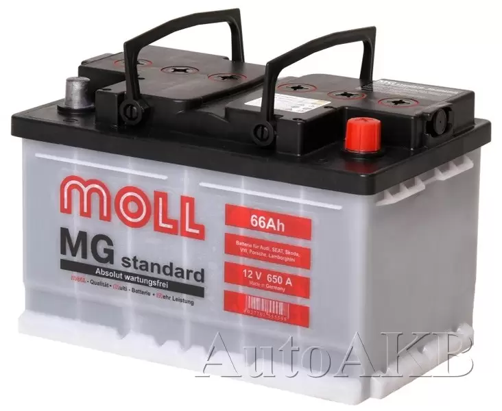 Аккумулятор автомобильный Moll MG Standard 6СТ-66 Ач обр. (низкий)