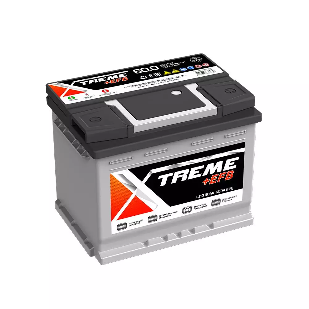 Аккумулятор автомобильный XTREME +EFB L2 66Ah 690A ПП (242x175x190) L2
