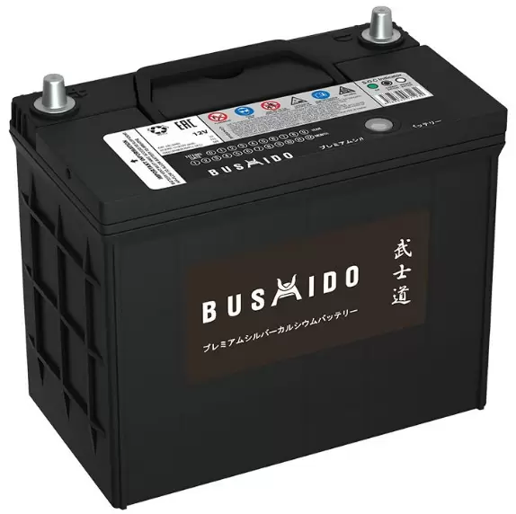 Аккумулятор автомобильный Bushido 70B24LS 6СТ-55 Ач обр.